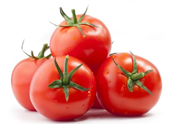 Horoskooppi Leo -horoskooppi syö terveellistä tuoretta tomaattia
