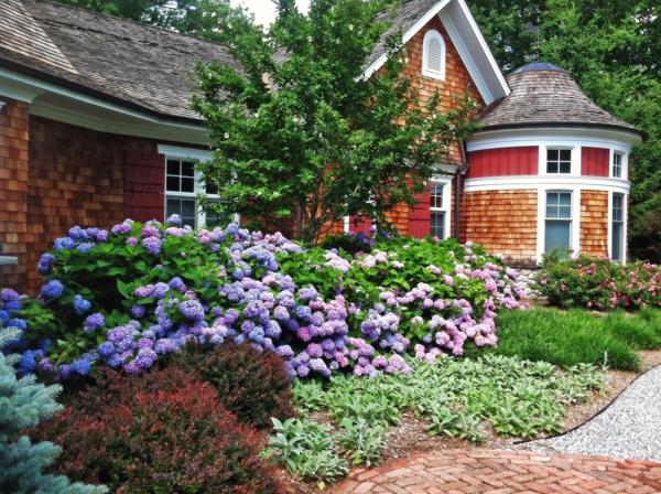 Kaunis Hydrangea -puutarha Country Cedar Housen edessä