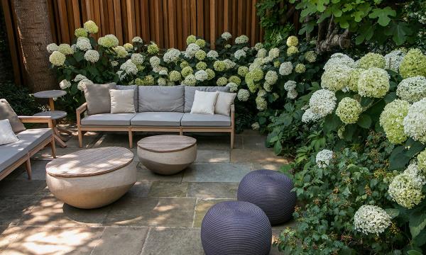 Hortensiat kukkivat ulkona istuinalueella tyylikkäät ulkokalusteet valkoiset hortensiakukat osittain varjossa