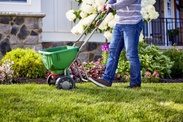 How-to-Care-of-Your-Nurmikko-in-Spring-Season-pinterest
