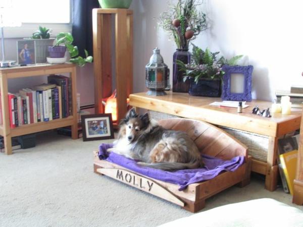 Koiran sängyt kissat sohvat lemmikkieläimet olohuone