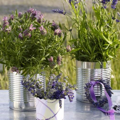 Ideoita kodin sisustamiseen laventelin kukkaruukkujen pöytäpuutarhan kanssa