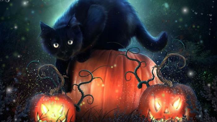 Ideoita Halloween -musta kissa Ideoita Halloween -koristeluun Halloween -tarina tinker kurpitsalyhty