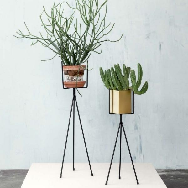 Ideoita sisätilojen kasvien koristeluun Trend minimalistisesti suunnitellut kukkatelineet