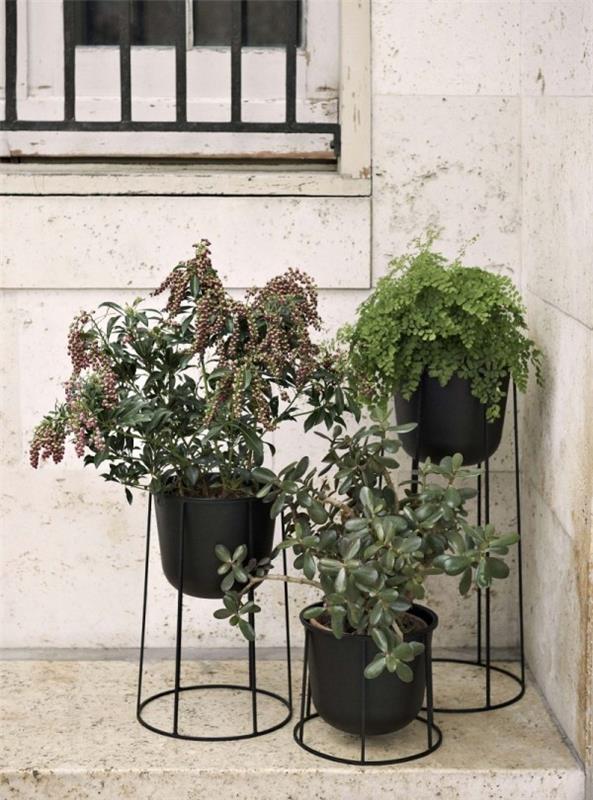 Ideoita sisäkasvien koristeluun, kolme ruukkua, joissa on vihreitä kasveja, hyvä järjestely ulkona