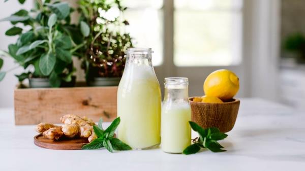 Ginger Lemon Shot Resepti Terveyshyödyt