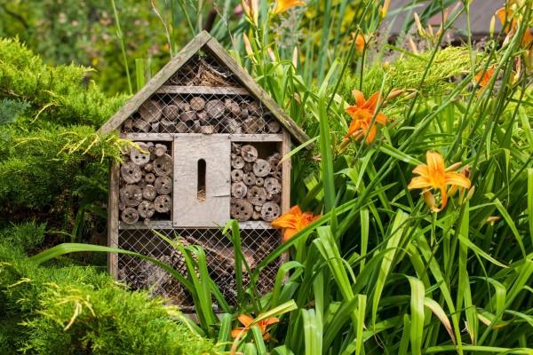 Tinker hyönteisten hotelli ja täytä kevätpuutarha iloisilla kukkasummilla puutarha diy -hotelli