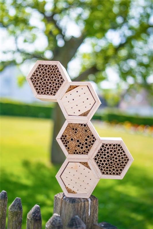 Tinker hyönteishotelli ja täytä kevätpuutarha iloisilla summilla mehiläispesää
