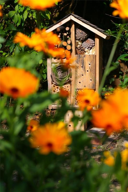 Tinker hyönteisten hotelli ja täytä kevätpuutarha iloisilla summilla kauniita puutarhaideoita