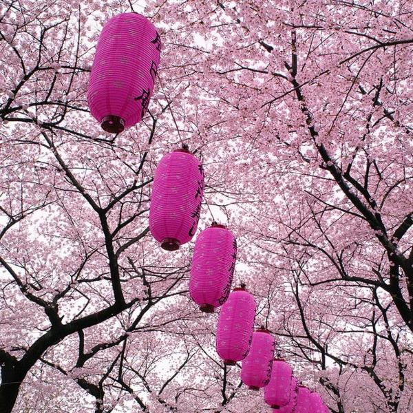 Japanilainen lyhty vaaleanpunainen puulattia