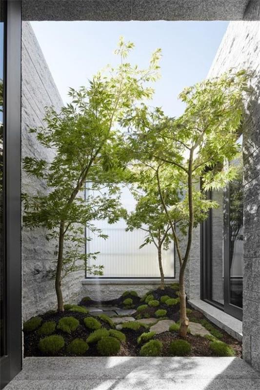 Japanilainen puutarha korkea esteettinen visuaalinen harmonia pieni alue sammalta vihreitä puita