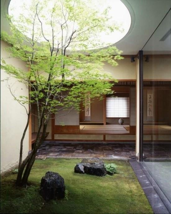 Japanilainen takapiha -puutarha korkea esteettinen visuaalinen harmonia kivet sammal puu lasiseinä