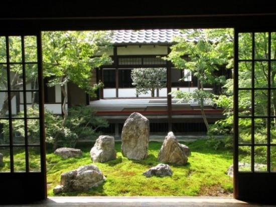 Japanilainen puutarha kaunis näkymä kivet sammal vihreät kasvit