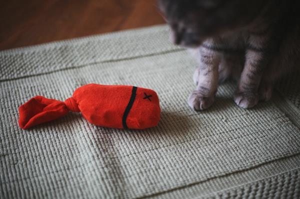 Kissan leluja, joissa on sukat, hemmottelevat lemmikkejä
