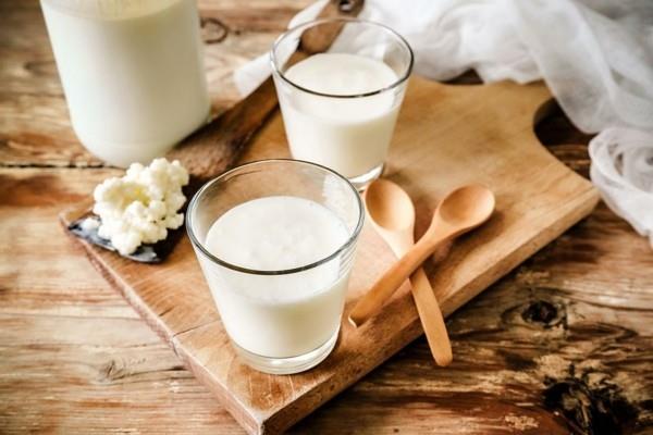 probiootti ruoka kefir jyvät Kefiiri terve kefir probiootti ruoka kefir jyvät