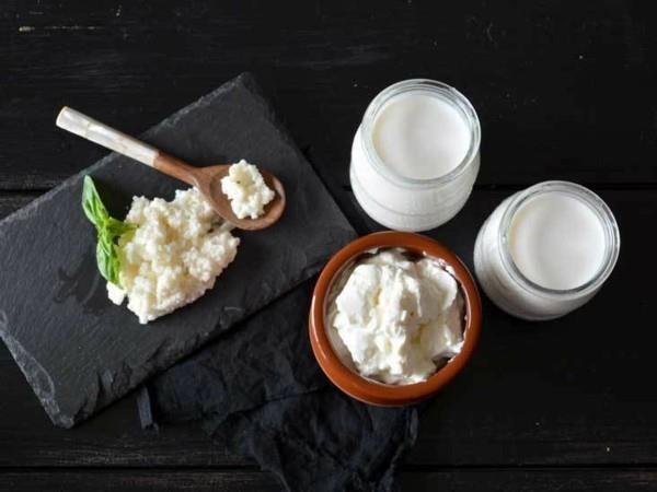 Kefir terve maito juoma maito kefir probiootti ruoka kefir jyvät