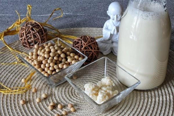 Kefiiri terveellinen soijamaitokefiiri Kefir terve vesi kefir maito kefir probiootti ruoka kefir jyvät