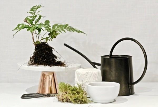 Kokedama itse kuinka tehdä japanilaisia ​​sammalpallo -ohjeita