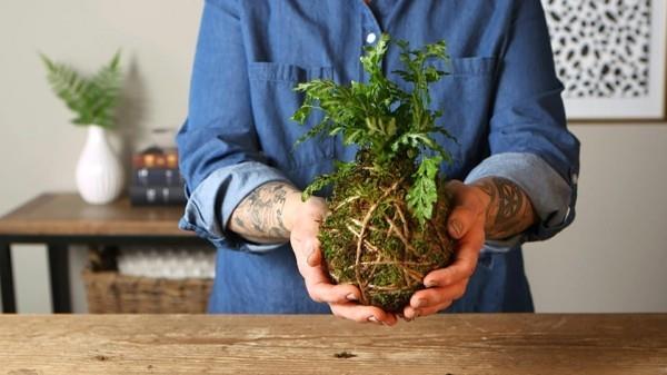 Kokedama tekee helpoksi käsitellä käsityöideoita huonekasveille