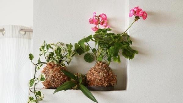 Kokedama itse saa japanilaisen puutarhataiteen koristamaan pieniä kulmia