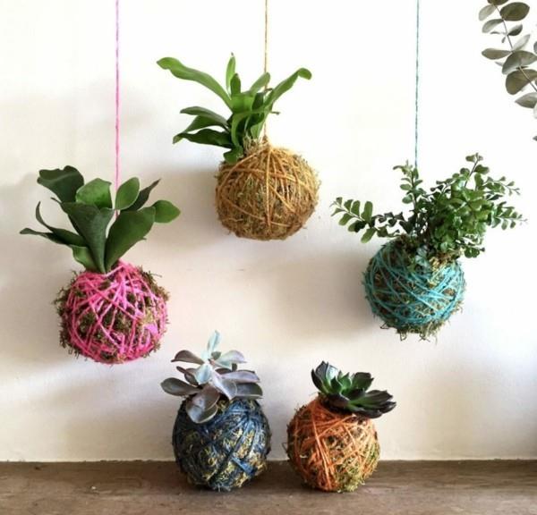 Kokedama itse valmistaa japanilaisia ​​sammalipallovärisiä lankoja
