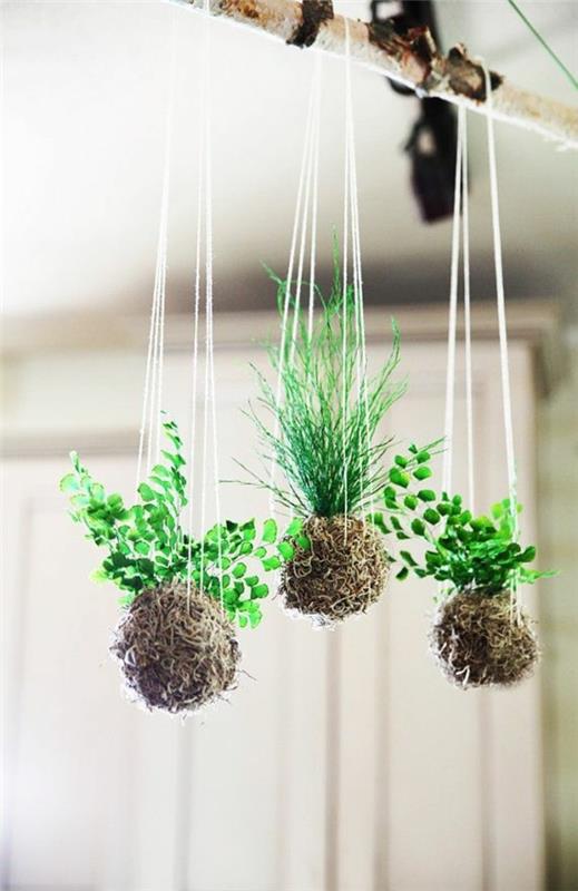 Kokedama itse valmistaa japanilaisia ​​sammalpalloja riippuvia kasveja