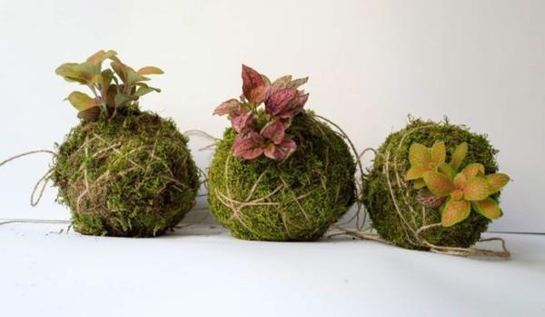 Kokedama itse tekee japanilaisista sammalpalloista eläviä koristeita