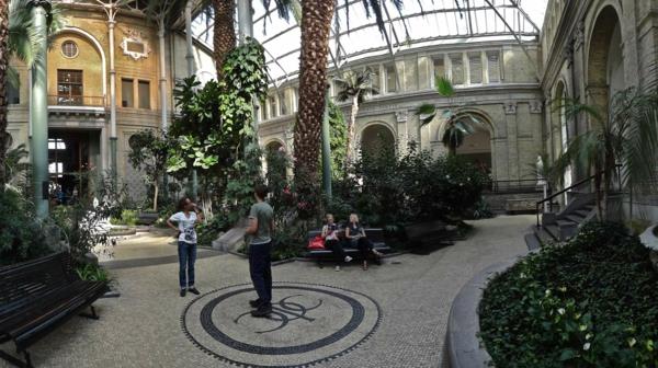 Kööpenhaminan maamerkki Carlsberg Glyptotek -puiston palmuja