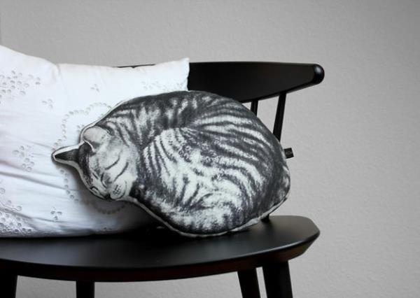 Luova-heittää-tyyny-ja-tyyny-kissa