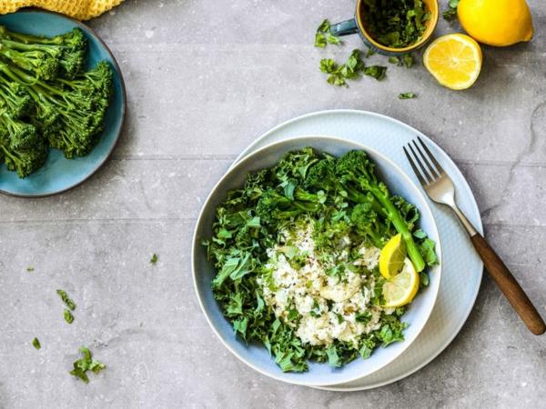 Kehon detox -detox -kehon elämäntapojen detox -hoito