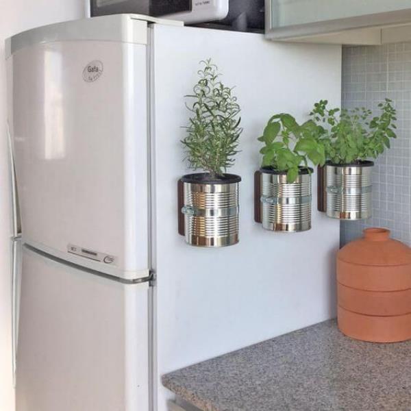 Kasvavat yrtit kotona viljelevät niitä jääkaappiin kiinnitetyissä metalliastioissa