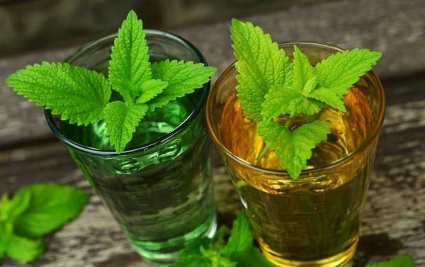 Tee yrtti limonadi itse minttu limonadilla