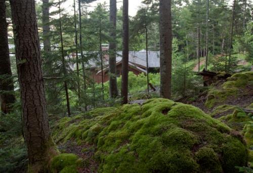 Maisema -arkkitehtuuria ja muotoilua kestävästi hankituista puista