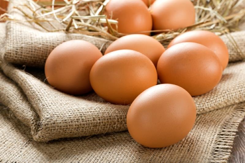 Ruoat, jotka polttavat rasvan munia terveellisesti
