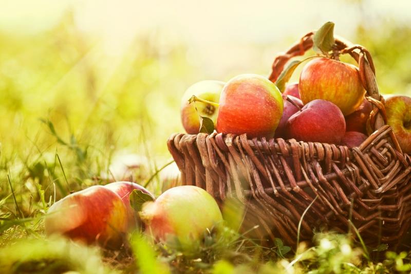 Ruoat, jotka polttavat rasvaa omenat terveellisesti syövät hedelmät ja vihannekset