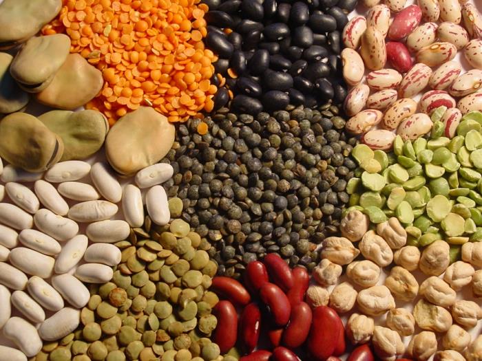 Ruoat, joissa on magnesium -palkokasveja