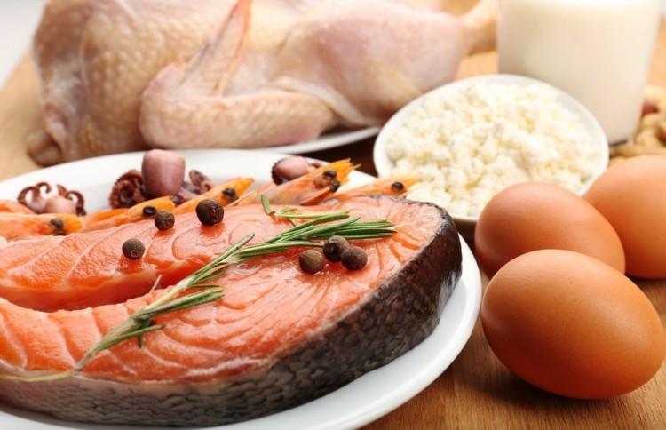Ruoat, joissa on paljon proteiinia munat kalaproteiini ruokavalio