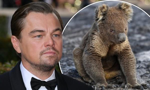 Leonardo diCaprio - Eläinten pelastus