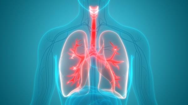 Vahvista keuhkoja Keuhkojen kapasiteetti parantaa terveitä keuhkoja
