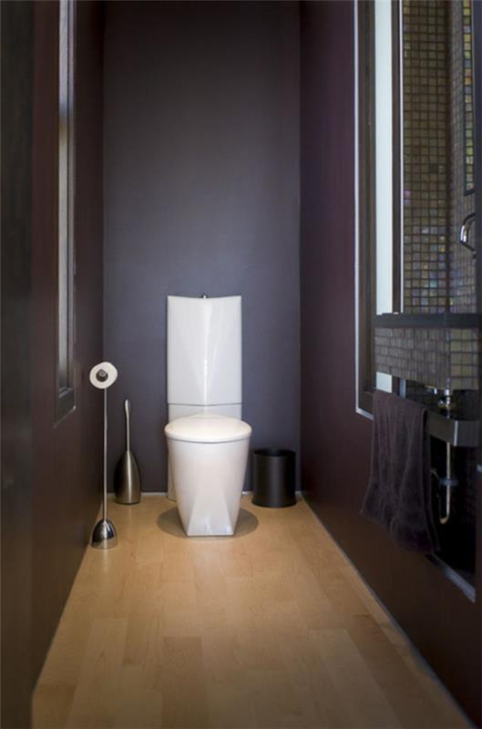 Ylellinen kylpyhuone deco tumma naisten wc kompakti tila