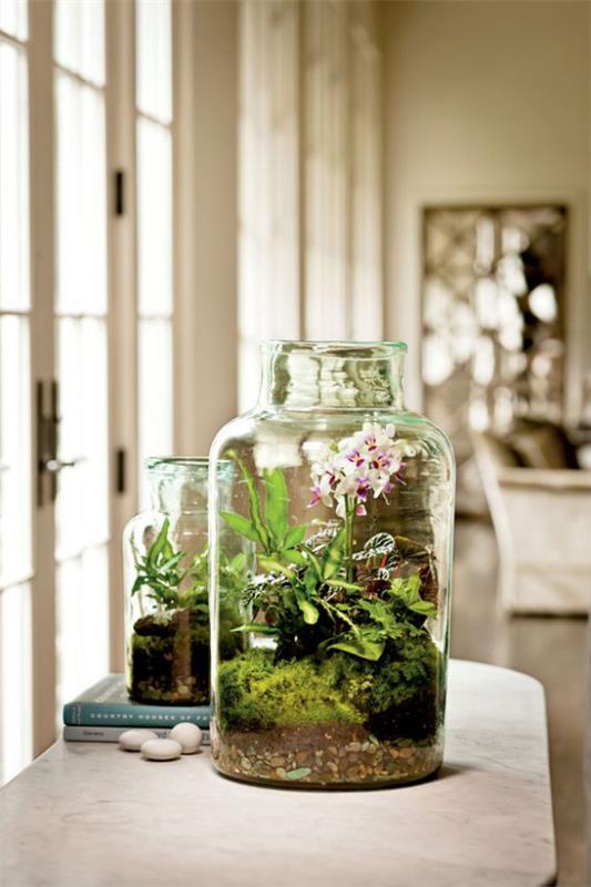 Minipuutarha lasikukkivissa huonekasveissa koristaa järjestelyn paljon vihreää