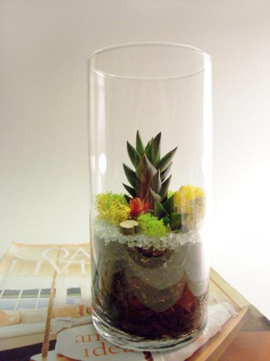 Minipuutarha lasisessa korkeassa lasiastiassa erilaisia ​​kasveja hyvin järjestettyjä mehikasveja