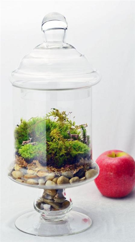Minipuutarha lasisessa pienessä vihreässä maisemassa kannen alla silmiinpistävää punaista omenaa sen vieressä