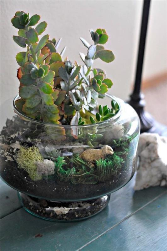 Mini puutarha lasissa pieni avoin lasipurkki hyvin istutettu meheviä koriste -elementtejä lampaita
