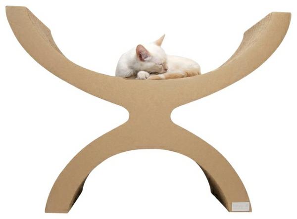 Moderni lisävaruste lemmikkisi valkoiselle nukkuvalle kissalle