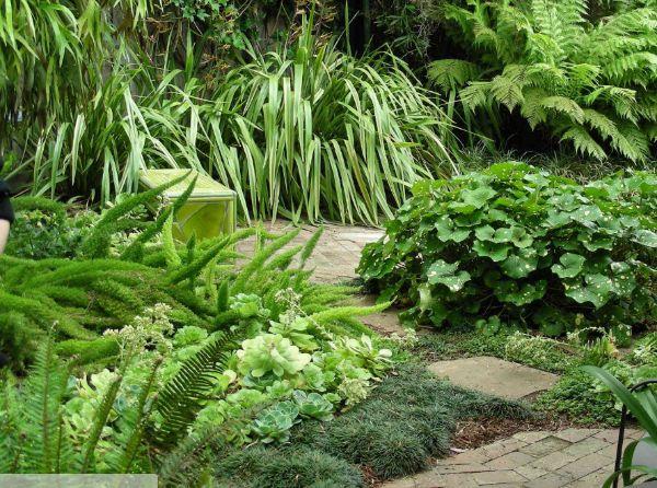 Yksivärinen minimalismi - luo luonnollinen puutarha