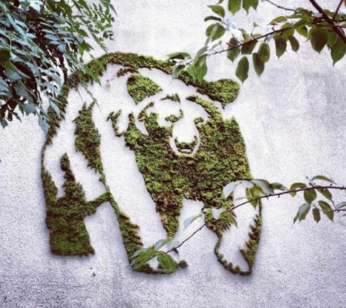Moss graffiti katutaiteilija ornamentti baer