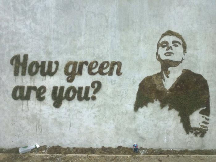 Moss graffiti katutaiteilija ornamentti iskulause