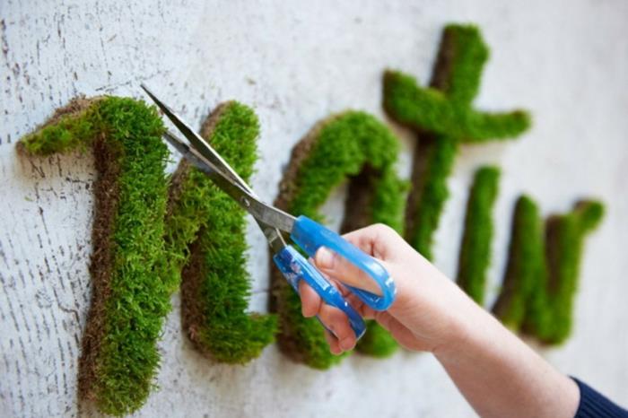 Sammal graffiti katutaiteilija ornamentti prop