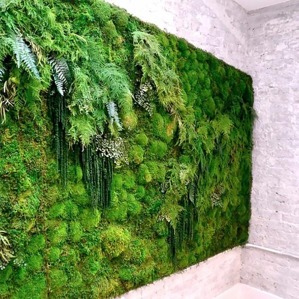 Sammalseinä biofilia vihreä seinän suunnittelu sammal seinä sammal lajit